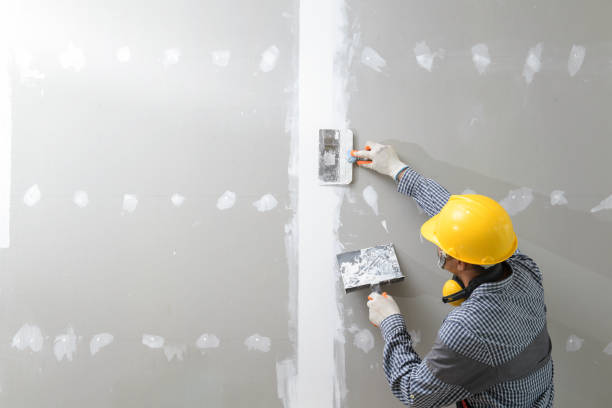 Best Mold-Related Health Consultation  in Wesley Chapel, FL