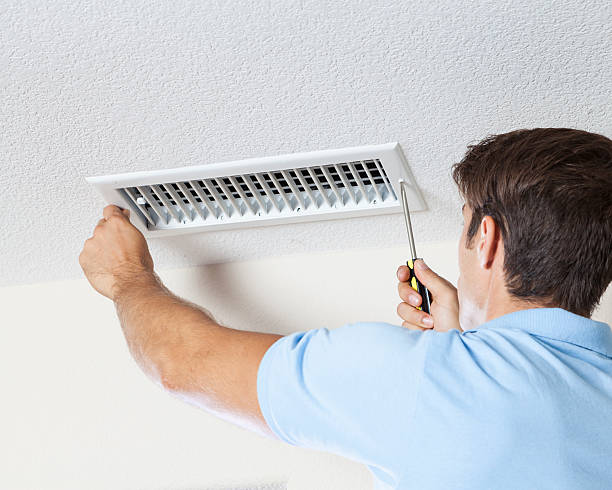 Best Environmental Consulting for Mold Prevention  in Wesley Chapel, FL